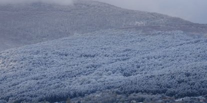 Bursa'da üreticilere "don" uyarısı