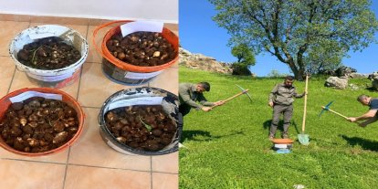 Kaçak salep operasyonu: 4 kişiye 699 bin TL ceza