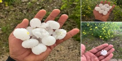 Şanlıurfa’da dolu yağışı fıstık bahçelerine zarar verdi