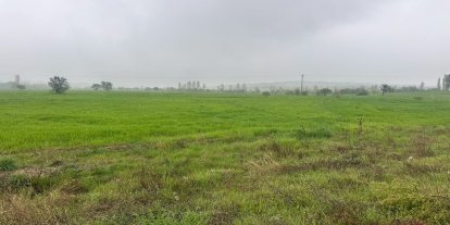 Konya'da yağışlar doğayı canlandırdı