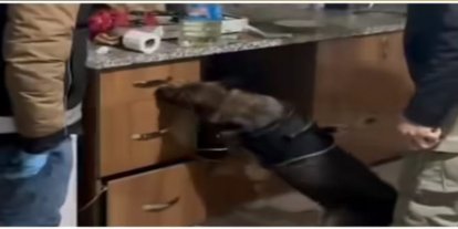 Bingöl’de çeşitli suçlardan aranan 4 şahıs yakalandı