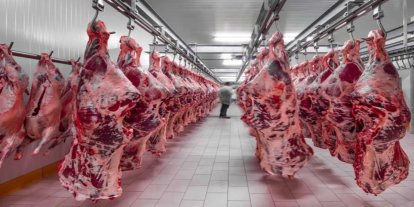 Kırmızı et üretimi 2025’te yüzde 10,5 azaldı