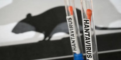 Sağlık Bakanlığı: Türkiye’de hantavirüs pozitif vakası tespit edilmedi