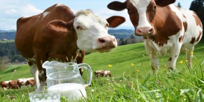 Ticari süt işletmeleri martta 1 milyon tonu aşkın inek sütü topladı