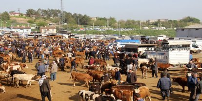 Diyarbakır Hayvan Borsası’nda besicilerin çilesi bitmiyor
