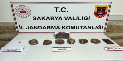 Sakarya'da uyuşturucu operasyonu: 2 tutuklama