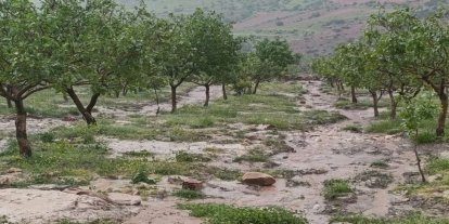 Siirt’te dolu yağışı tarım alanlarında zarara yol açtı