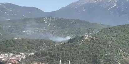 Muğla Fethiye'de orman yangını