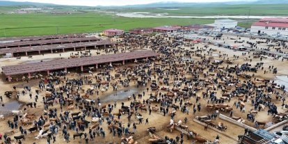 Hayvan Borsası'nda kurbanlıklar görücüye çıktı fiyatlar dudak uçuklatıyor