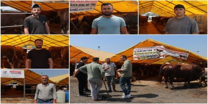 Kurbanlık pazarında hareketlilik: Her bütçeye uygun hayvan var