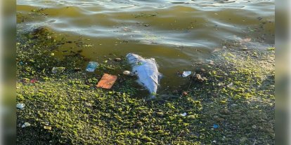 İzmir Bayraklı sahilinde çevre kirliliği dikkat çekiyor