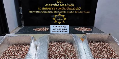 Mersin'de 317 bin 285 adet uyuşturucu hap ele geçirildi