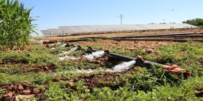 Tarımsal destekleme ödemeleri çiftçilerin hesaplarına aktarılıyor