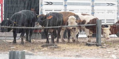 Konya’da Kurban Bayramı boyunca sağanak yağış bekleniyor