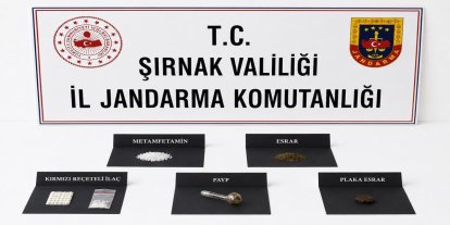 Şırnak'ta asayiş ve narkotik operasyonları: 153 gözaltı