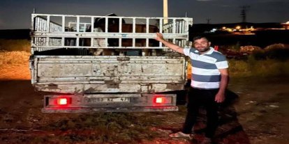 Şanlıurfa’da kaybolan büyükbaş hayvanlar bulunarak sahibine teslim edildi