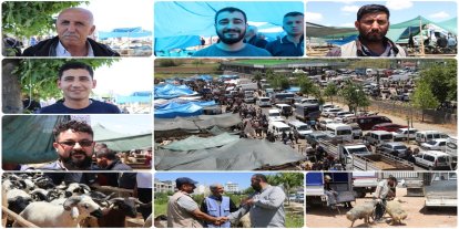 Gaziantep'te kurban pazarlarında yoğunluk devam ediyor: Vatandaşlar fiyatları yüksek buluyor