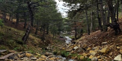 Çanakkale'de ormanlık alanlara girişler 30 Eylül'e kadar yasaklandı