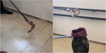 TOKİ konutlarında yılan paniği