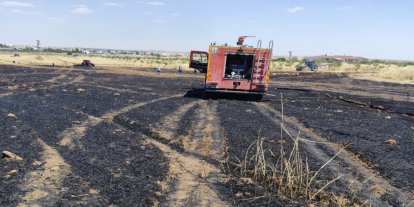 Mardin'de 40 dönüm ekili alan yandı