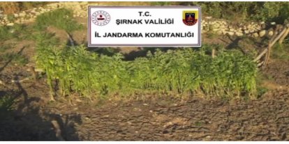 Şırnak merkezli 3 ilde uyuşturucu operasyonu: 5 gözaltı