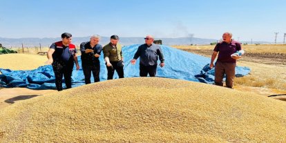 Şırnak’ta atıl araziler TAKE Projesi ile kırmızı mercimek üretimine kazandırıldı