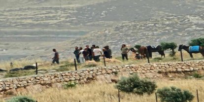Yatta'da Yahudi çete saldırısı: 4 Filistinli yaralandı, 60 ağaç söküldü