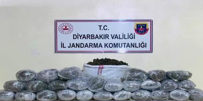 Diyarbakır'da 1 milyon 755 bin kök kenevir ve skunk ele geçirildi