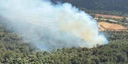 Muğla'da orman yangını: Havadan ve karadan müdahale sürüyor