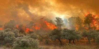 Seydikemer’de orman yangınına müdahale