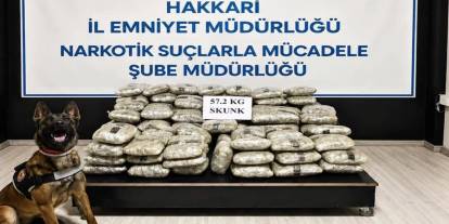 Hakkari'de 57,2 kilogram skunk ele geçirildi