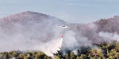 Manisa ve Muğla'daki orman yangınları kontrol altına alındı