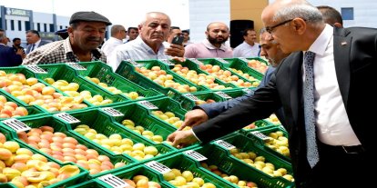 Malatya'da "En İyi Kayısı" yarışması düzenlendi