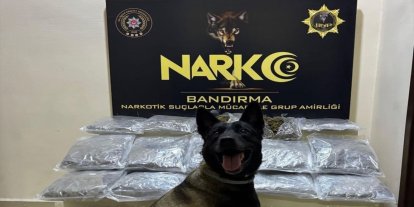 Balıkesir'de uyuşturucu operasyonu: 11 kilogram skunk ele geçirildi