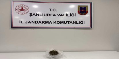 Şanlıurfa'da uyuşturucu operasyonu: Bir gözaltı