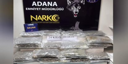 Adana'da 24,6 kilo skunk ele geçirildi