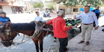 Mersin'de karpuz yüklü arabayı çekerken bitkin düşen at koruma altına alındı