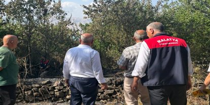 Malatya'da anız yangını: 50 dekarlık alan ile çok sayıda ağaç yandı
