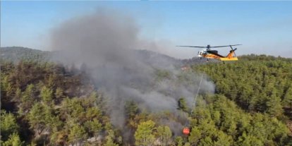 Alanya'daki orman yangınında 45 ev tahliye edildi