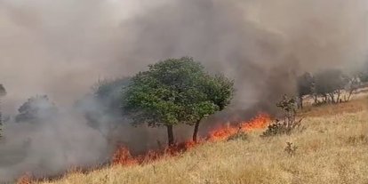 Siirt'te örtü yangını: 60 dönümlük alan zarar gördü
