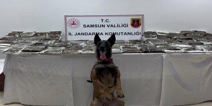 Samsun'da tırda 132 kilogram toz esrar ele geçirildi