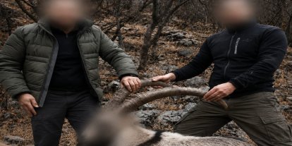Siirt'te 6 yıl önce koruma altındaki yaban keçilerini avlayanlara ceza