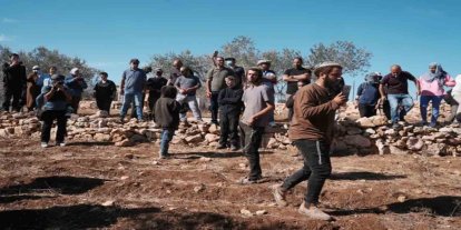 BM: Batı Şeria'da yerleşimci saldırıları alarm verici seviyeye ulaştı