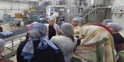 Stajyer öğrenciler süt fabrikasında üretim süreçlerini inceledi