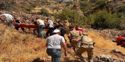 Şırnak’ta ağaçtan düşen vatandaş için ekipler seferber oldu
