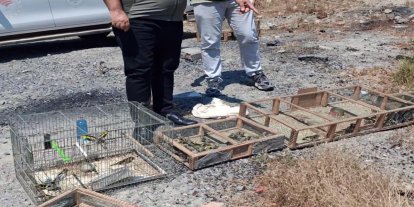 Kahramanmaraş’ta kaçak saka kuşu avlayan 4 kişiye 2,2 milyon lira ceza