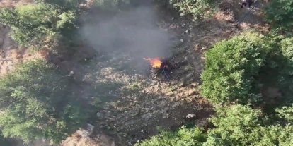 Diyarbakır'da 247 bin 145 kök kenevir ve skunk imha edildi