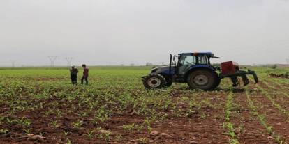 Destekleme ödemeleri çiftçilerin hesabına bugün yatacak