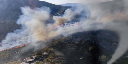 Muğla'da orman yangını