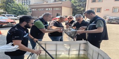 Bursa’da 13 milyon yavru balık su kaynaklarıyla buluşturuldu